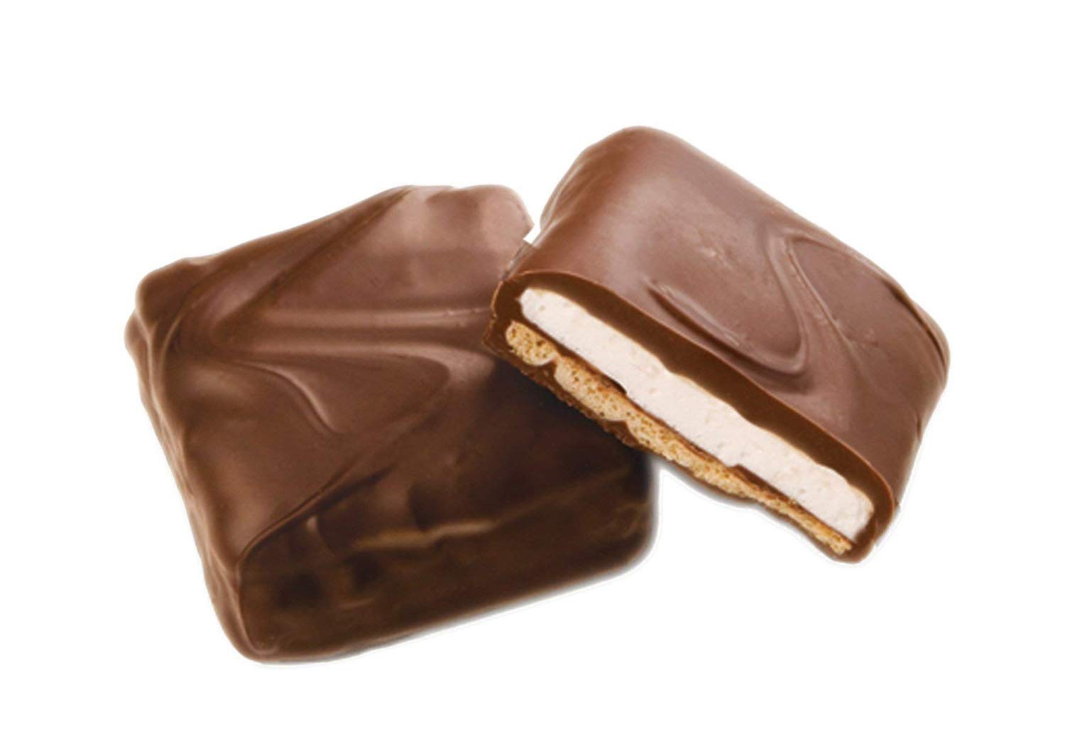 Chocolate Covered S'mores! 